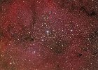 IC1396
