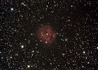 IC5146