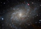 M33