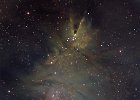 NGC2264 Narrowband