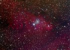 NGC2264
