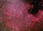 NGC7000