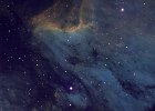 Pelican Narrowband